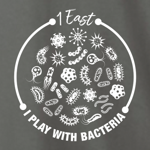 Gildan Softstyle Longsleeve T Shirt -- Charcoal