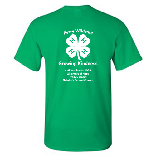 Gildan Heavy Cotton Basic T-Shirt -- Irish Green