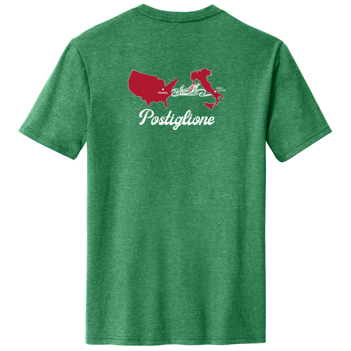 District Made Mens Perfect Blend Tee -- Heathered Kelly Green