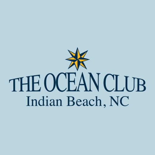 Comfort Colors Heavyweight Adult T-Shirt -- Chambray