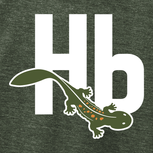 Allmade® Unisex Organic CVC Fleece Pullover Hoodie -- Herb Green