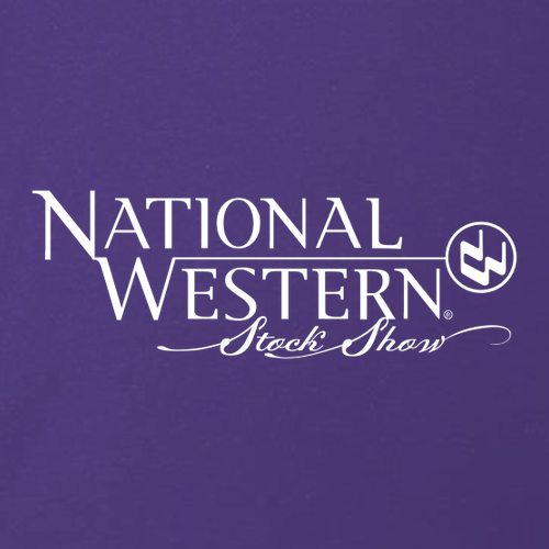 Next Level Apparel Ladies Tri Blend Crew -- Purple Rush