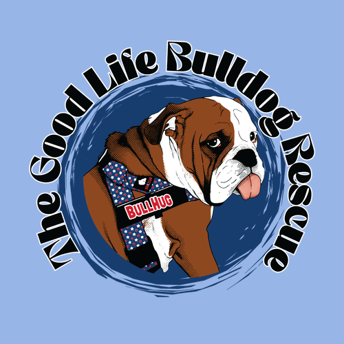 Good Life Gus Tee Hoodie -- Carolina Blue