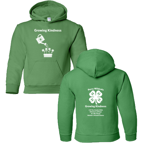 Gildan Heavy Blend Youth Hooded Sweatshirt -- Irish Green