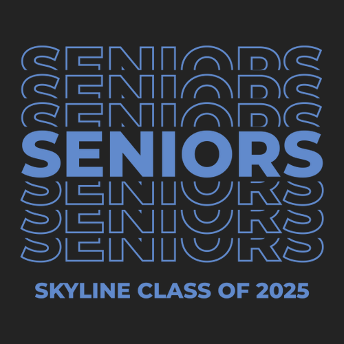 Gildan Heavy Cotton Basic T-Shirt -- Black, Class of 2025