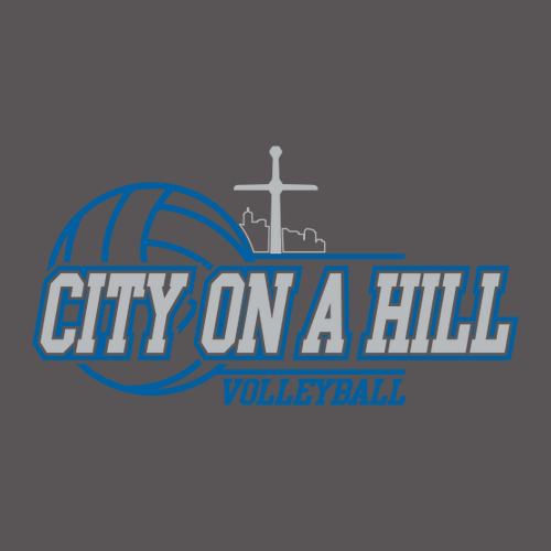 Gildan Softstyle Longsleeve T Shirt -- Charcoal