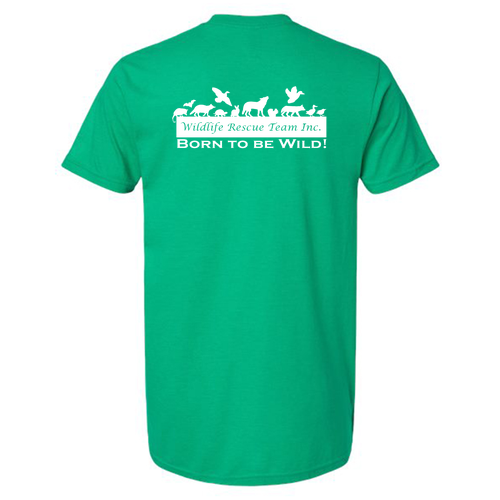 Gildan Softstyle CVC Tee -- Kelly Mist