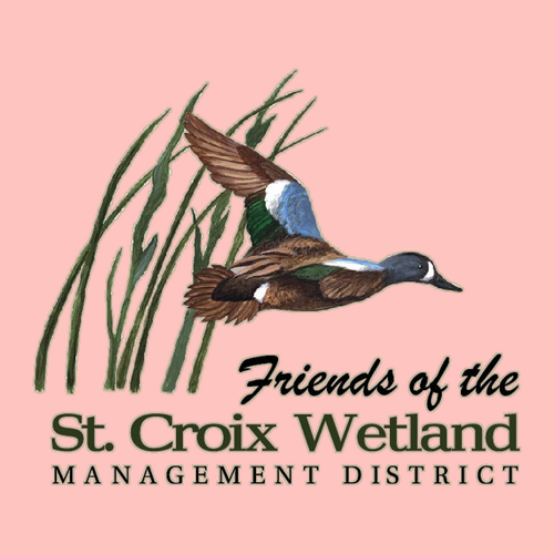 Next Level Women's Cotton Relaxed Long Sleeve T-Shirt -- Desert Pink