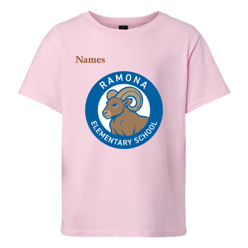 Gildan Youth Softstyle T-Shirt -- Light Pink