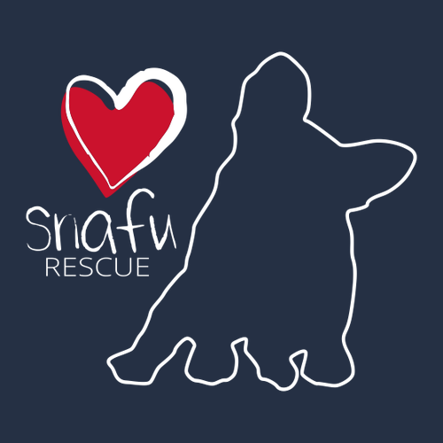 Comfort Colors Ringspun Long Sleeve Tee -- True Navy