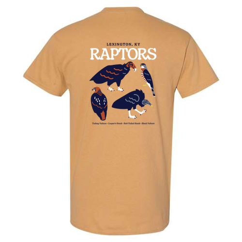 Heavy Cotton  T-Shirt -- Old Gold