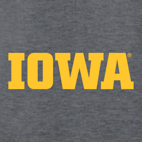 Gildan SoftStyle T-Shirt -- Dark Heather