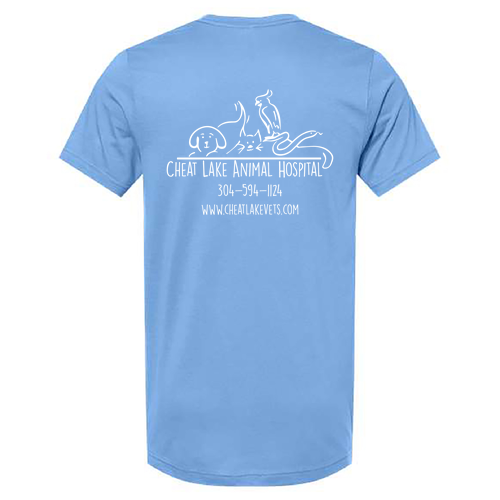 Bella Canvas Unisex Jersey T-Shirt -- Carolina Blue