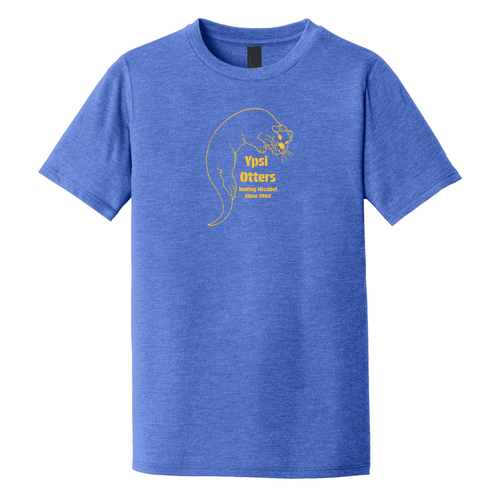 Ypsi Otters Retro District Youth Perfect Triblend Tee -- Royal Frost