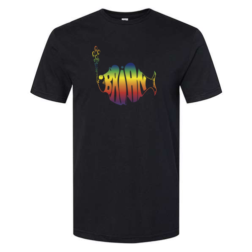 Gildan Softstyle CVC T-Shirt -- Pitch Black