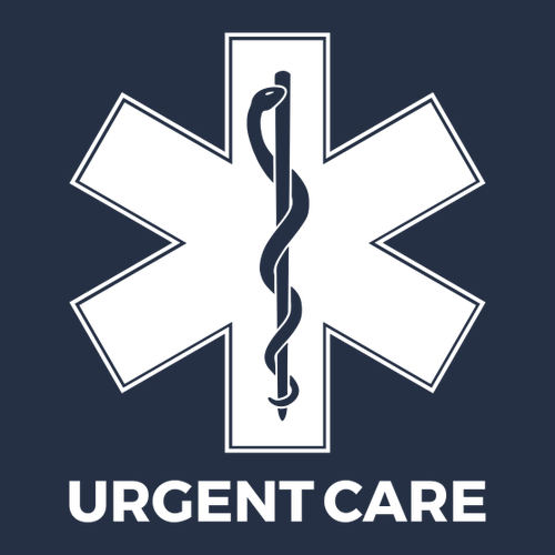 Comfort Colors Heavyweight Adult T-Shirt -- True Navy