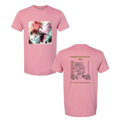 Gildan Softstyle CVC T-Shirt -- Plumrose