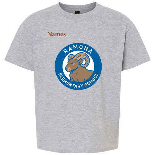 Gildan Youth Softstyle T-Shirt -- Sport Grey