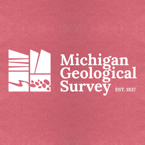 Gildan SoftStyle T-Shirt -- Heather Cardinal