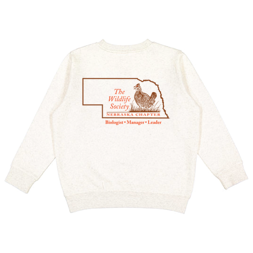 Youth Crewneck Sweatshirt -- Natural Heather