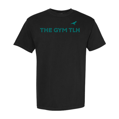 Comfort Colors Unisex Garment-Dyed Heavyweight T-Shirt -- Black