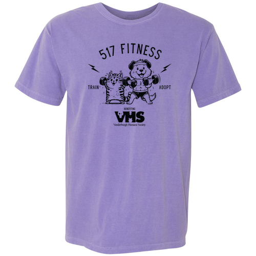 Comfort Colors Heavyweight Adult T-Shirt -- Violet