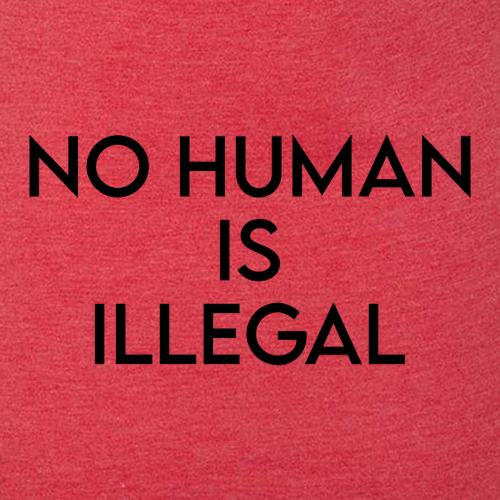 Mens/Unisex Next Level Soft Fitted Triblend Tee -- Vintage Red, No Human