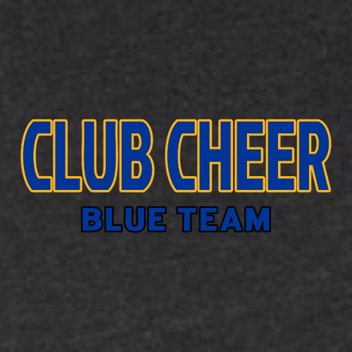 Blue Team Bella+Canvas Unisex Heather Cvc Long Sleeve Tee- Heathers -- Black Heather