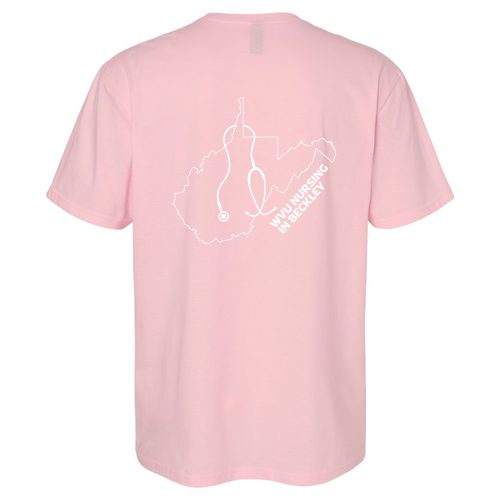 Gildan SoftStyle T-Shirt -- Light Pink