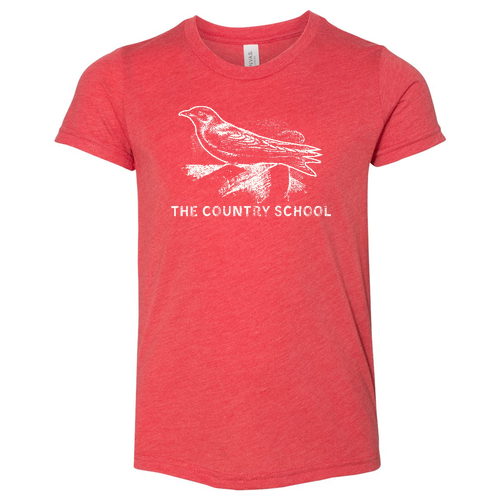 Bella Canvas Youth Triblend Jersey Short Sleeve Tee -- Red Triblend