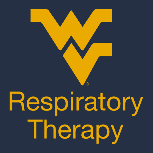 Gildan Heavy Cotton Basic T-Shirt -- Navy