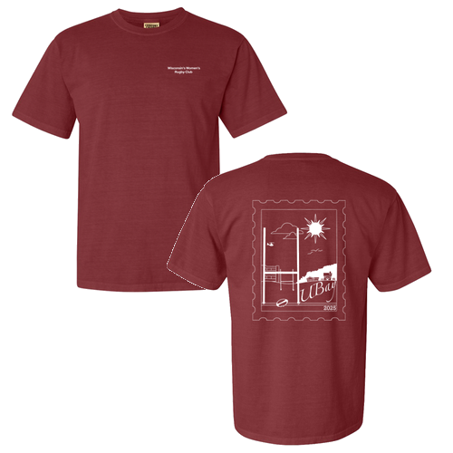 Comfort Colors Ringspun Garment Dyed T Shirt -- Brick