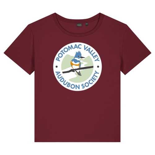 Stanley/Stella Women’s Stella Serena Scoop Neck Tee -- Burgundy