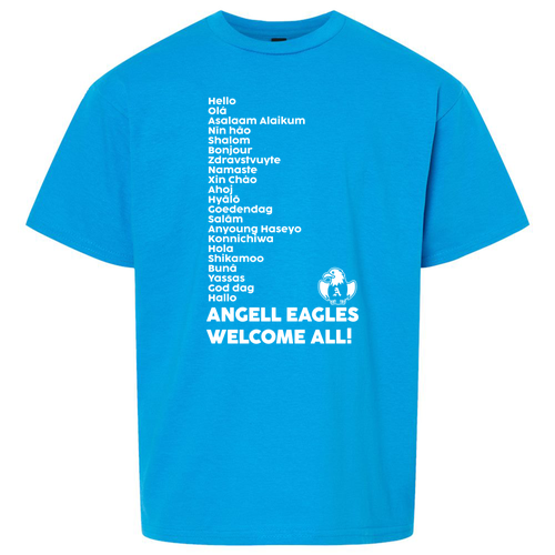 Youth Softstyle T-Shirt -- Sapphire