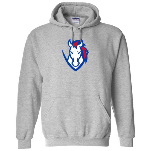 CV Colts Hoodie -- Sport Grey