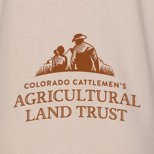 Forever Colorado Heavy Blend Hooded Sweatshirt -- Sand