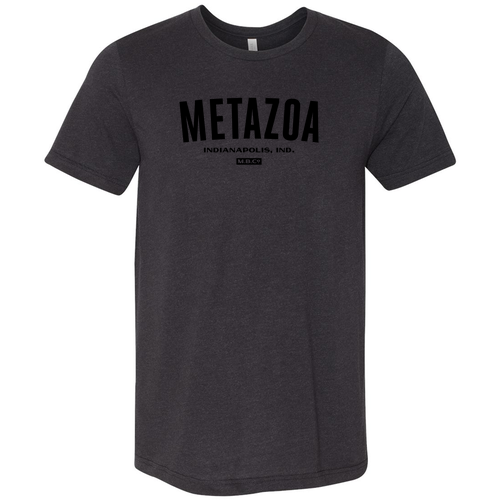Bella Canvas Triblend Short Sleeve T-Shirt -- Black Heather Triblend