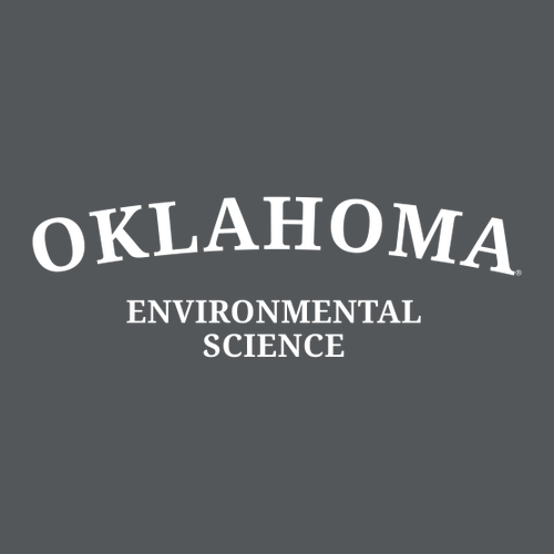 Environmental Comfort Colors Ringspun Garment Dyed T Shirt -- Graphite