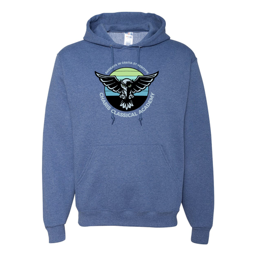 Charis Academy Jerzees 50/50 Nublend Fleece Hoodie -- Vintage Heather Blue