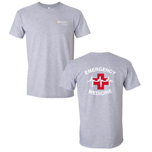 Gildan SoftStyle Fitted T-Shirt -- Sport Grey