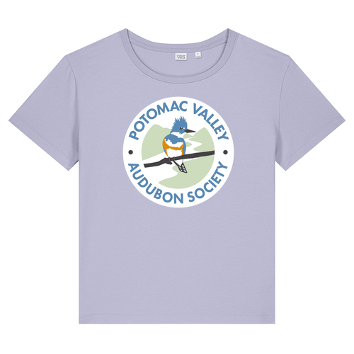 Stanley/Stella Women’s Stella Serena Scoop Neck Tee -- Lavender