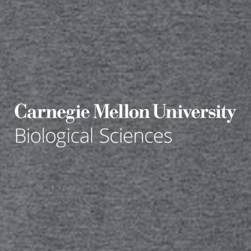 Gildan Ultra Cotton Longsleeve Basic T-Shirt -- Dark Heather