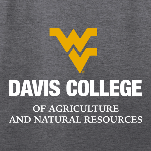 District Women's Flex Scoop Neck Tee -- Heathered Charcoal