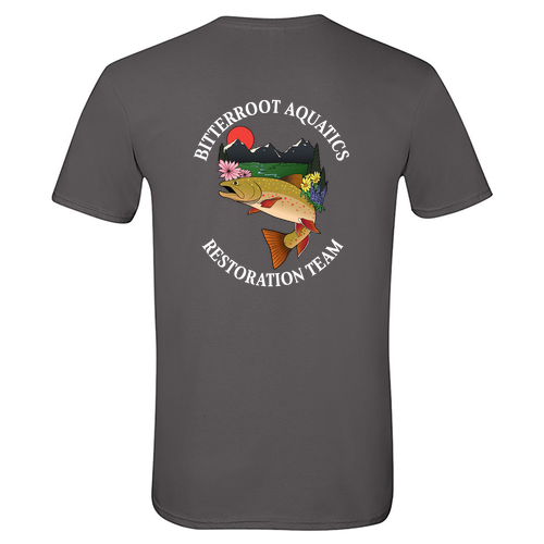 Gildan SoftStyle T-Shirt -- Charcoal