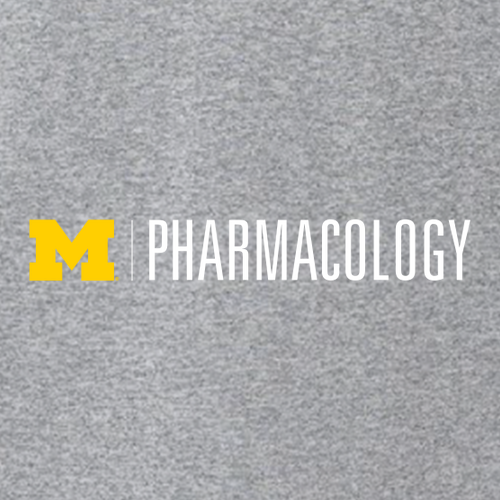 Mens/Unisex Next Level Soft Fitted Short Sleeve Tee -- Heather Grey