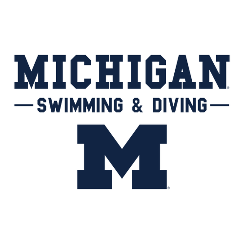 Ladies District Women's Very Important Tee Long Sleeve V-Neck -- White