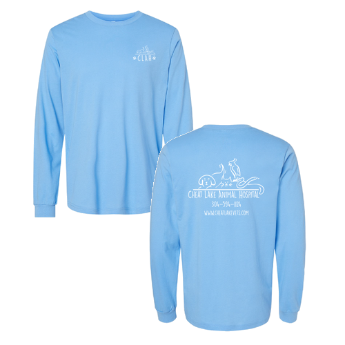 Bella Canvas Unisex Jersey Longsleeve Tee -- Carolina Blue