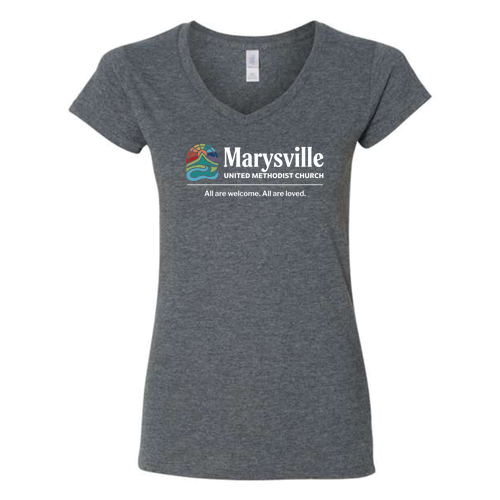 Gildan Heavy Cotton Ladies' V-Neck Tee -- Graphite Heather
