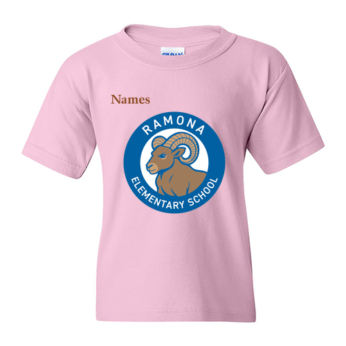 Gildan Heavy Cotton Basic Youth T-Shirt -- Light Pink