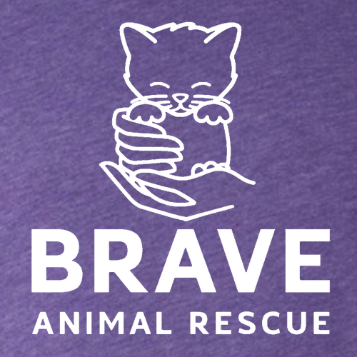 Brave Triblend Tee -- Purple TriBlend